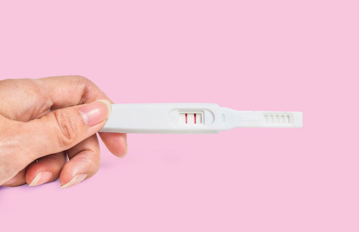 The Ultimate Guide to Getting Pregnant - Molecular Fertility